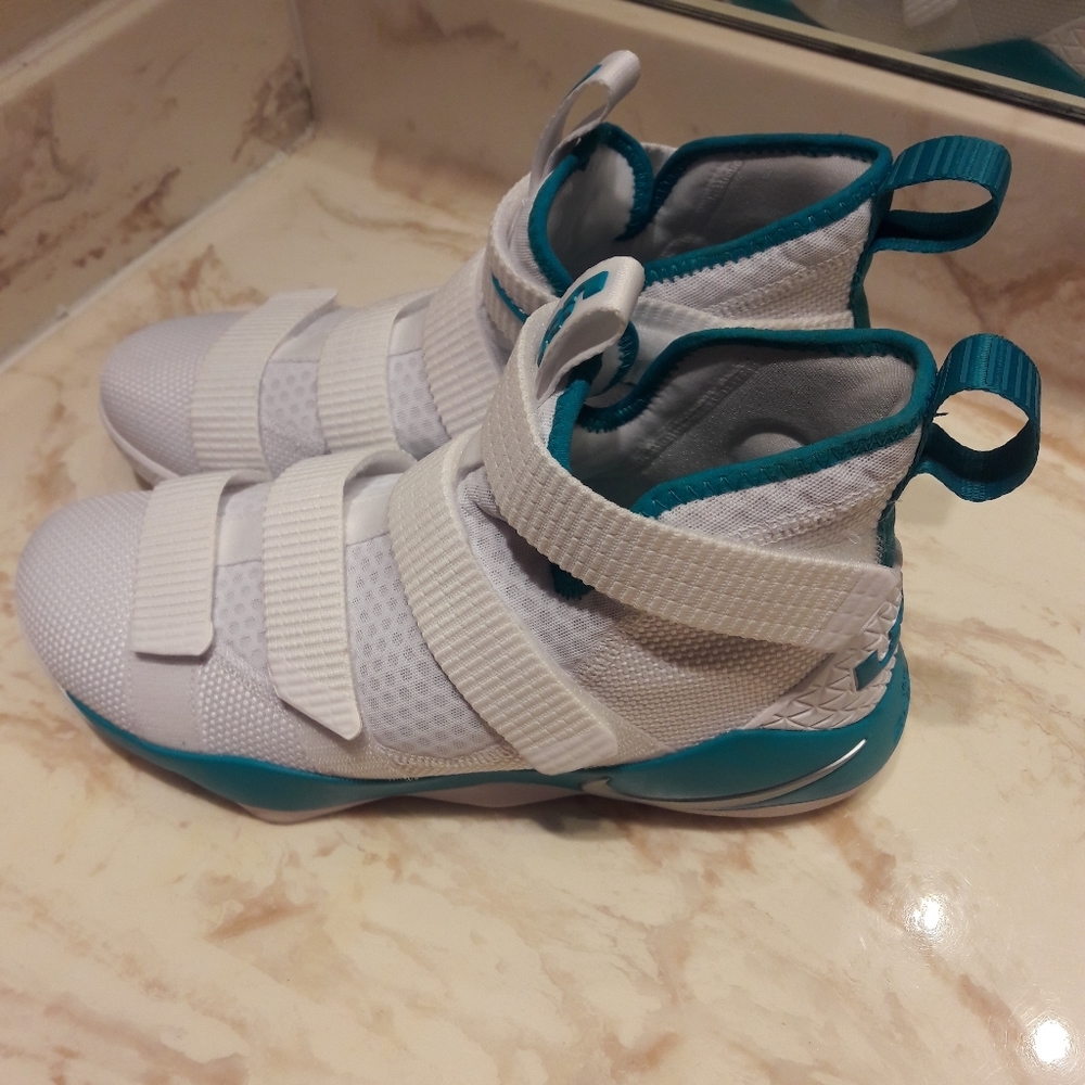 LeBron James Nike Shoes